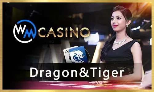 Bingo Plus Games